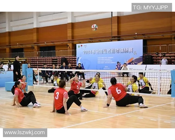 成都排球队在全国排球比赛经验排行榜中荣获第七名的辉煌成就分析